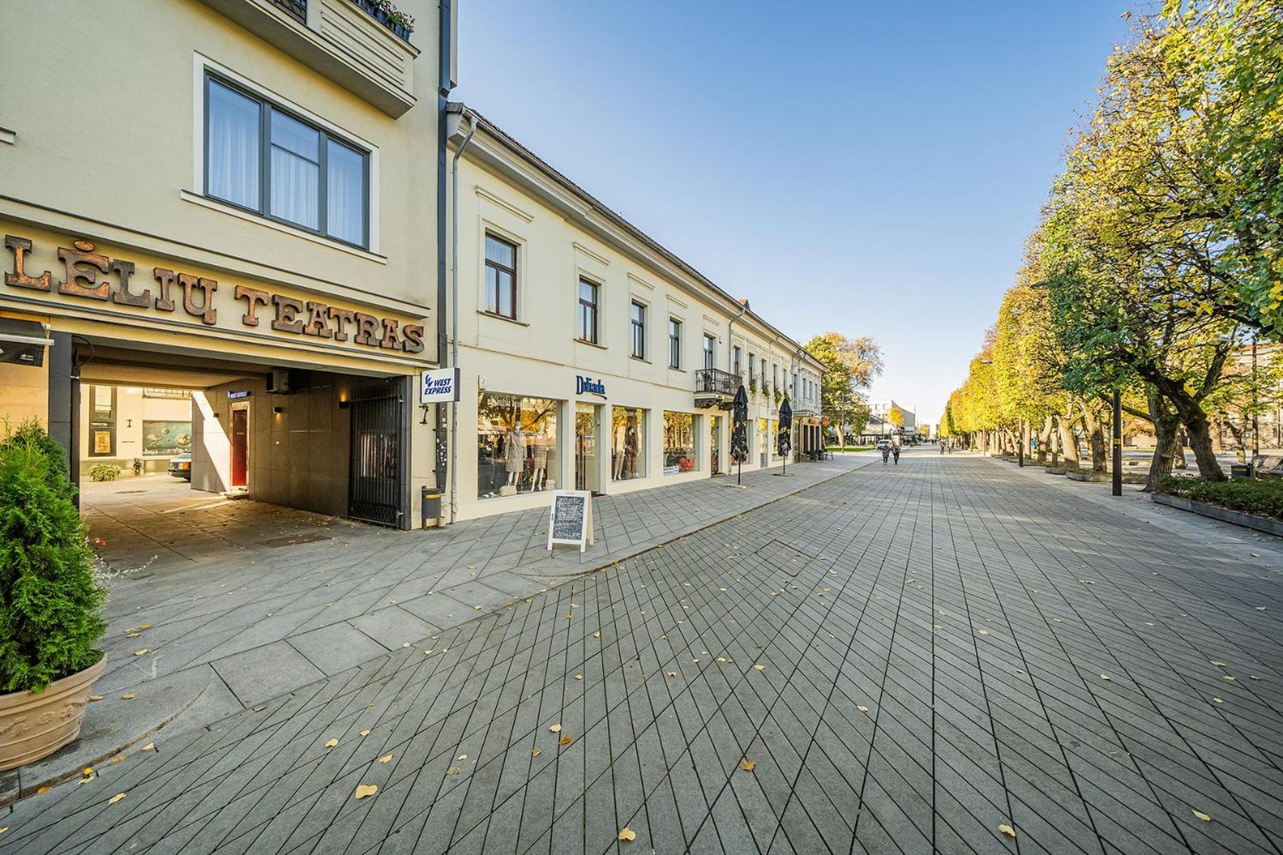 Central Park Apartments - The Luxury Collection Κάουνας Εξωτερικό φωτογραφία
