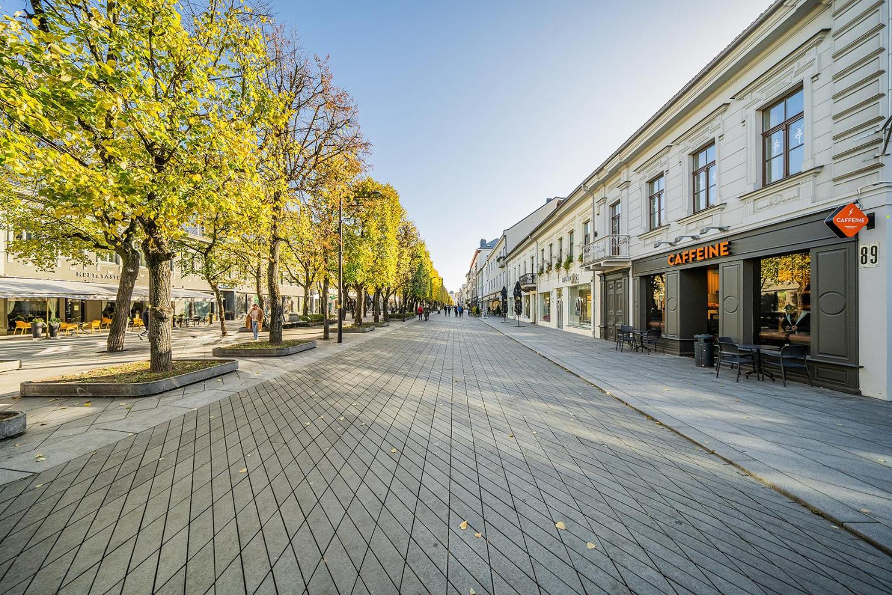 Central Park Apartments - The Luxury Collection Κάουνας Εξωτερικό φωτογραφία